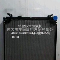东风柳汽乘龙中冷水箱/散热器/乘龙H5/H7/M5 4H7CL38D33X0A-1301010D1/4H7CL38D33X0A-1301010D