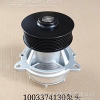 1003374130泵头/1003374130