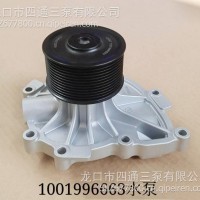 （P8）1001996663水泵 /1001996663