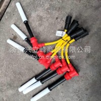 1000929191陕汽德龙缸线潍柴天燃气缸线高压线火花塞胶套/1000929191