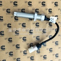 位置传感器 5491809 原厂直销/5491809