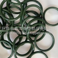 1006763493氟胶O型密封圈/1006763493