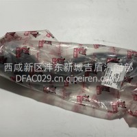 中冷器进气胶管/1119121-CQ5101
