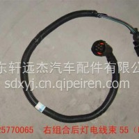 右组合后灯电线束55（BW）/AZ9725770065