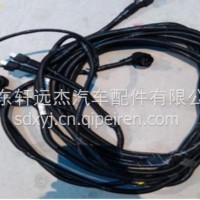 D7B前围线束（电调）/AZ9312771204
