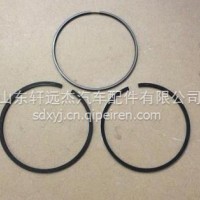 活塞环套件/080V02503-6910