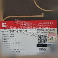 康明斯 NTA855 发动机活塞 3095738 适配徐工装载机/3095738