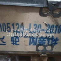 飞轮/1005120-L30-2010