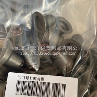 P10H气门油封1000081917/1000081917