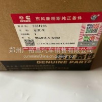 东风康明斯发动机水泵5681295/5681295