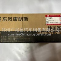 东风康明斯发动机电控模块C5594165/C5594165