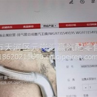 排气管总成/WG9731549195