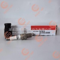 进口特价！【5473010】For CGE8.3 火花塞/5473010