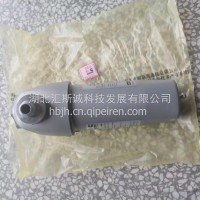 燃油滤清器/C5686760
