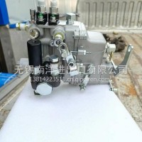 无锡威孚2IW206E 21W206F燃油泵总成SL210ABT SL210AB/2IW206D 2IW206E 21W206F