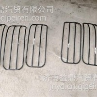左/右下大灯装饰网/AZ16D424000065/66