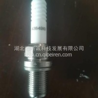 火花塞/4384910