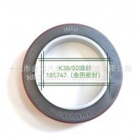 KTA38/50油封/185747