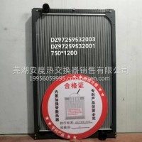 陕汽散热器总成/DZ97259532003