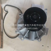 水泵分总成 水泵头 WP8水泵总成12PK/1001996661