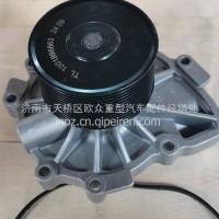 水泵分总成 水泵头 12PK水泵总成WP8/1001996663