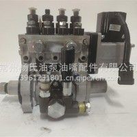 扬柴发电机柴油泵BHF4PW120001/BHF4PW120001