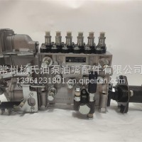 锡柴6P1236锡柴6DF3/100010-47Q-218AAW