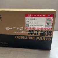 东风康明斯发动机燃油共轨管ISDEC4937282/C4937282