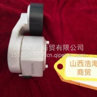 风扇皮带涨紧轮/1000694241
