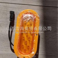侧转向灯/4130000343