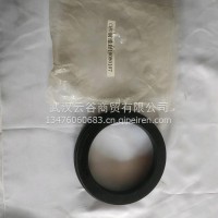 一汽康迈前桥轮毂油封/10045883