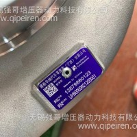 博格华纳配套潍柴新款P12/P13 1003403995/1001244121 1002599734 612700110125