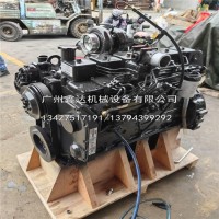 5690231 皮带/5690231