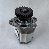 天然气发动机转向齿轮泵G2S0C-4508100B玉柴燃气发动机车 G2S0C-4508100B/G2S0C-4508100B