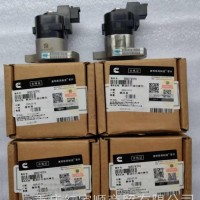 4089980/5693747康明斯原厂燃油执行器现货供应/4089980/5693747