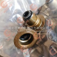 专用款特价！【3930057】For CGE8.3 ISLGE8.9 气门油封/3930057