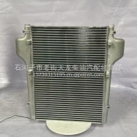 东风卡车/1119010-T45L1