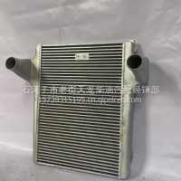东风卡车/1119010-T45L1