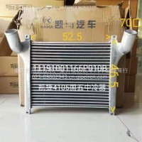 中冷器总成/11191001161P010B