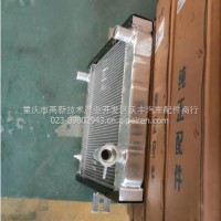 江淮轻卡水箱/1301010W6010