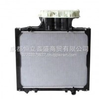 MAN曼散热器/81061006379