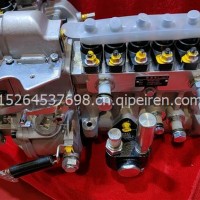 潍柴WD10装载机工程机械专用高压油泵BP12R4/612601080575