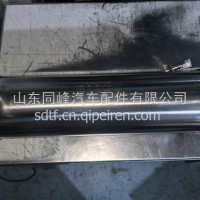 气化器/DZ95319561263