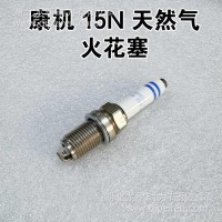 东风康明斯15N天燃气发动机火花塞 天龙旗舰火花塞/C5557905