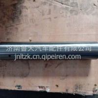 WG4005415501B重汽汕德卡C7H豪瀚新斯太尔TX TH7金王子上主销/WG4005415501B