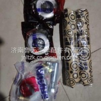 CA1061-3001064A重汽豪沃悍将统帅前桥主销立轴大王针修理包/CA1061-3001064A