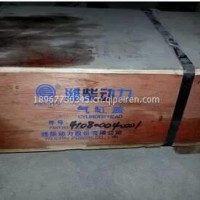 潍柴WP5电喷发动机缸盖总成/410800040001