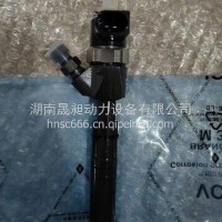 适用JEEP道奇奔驰共轨喷油器0445110181 0445110190 /0986435037