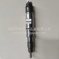适用于博世共轨喷油器0445120494/0445120447