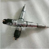 适用于柴油共轨喷油器51101006121/0445120202
